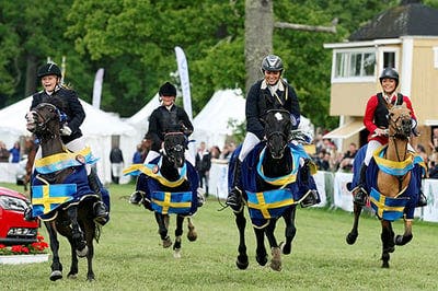 Lag-SM GULD Strömsholm 🥇