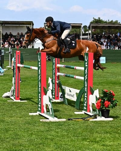 Nicoline på Falsterbo ⭐️