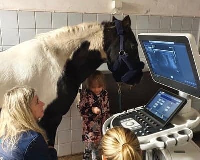 Swoppan ser sitt föl Billy för första gången 