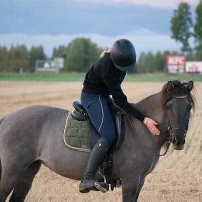 Orka Från Stenbacken