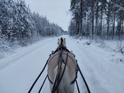 Maraton körning