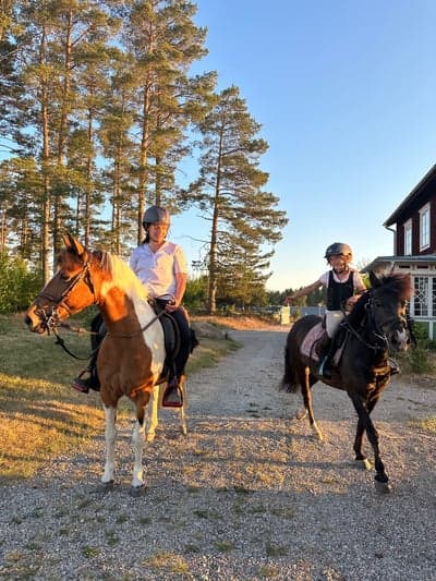 Härlig uteritt med Annabel i kvällssolen ☀️