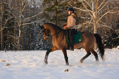 Världens bästa kille 💙