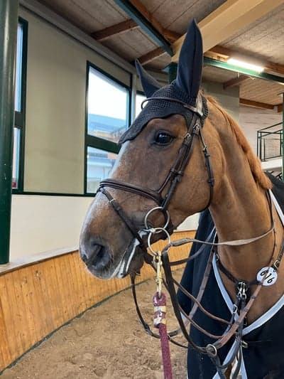 Nicoline avslutar helgen i Helsingborg på topp🫶🏻⚡️